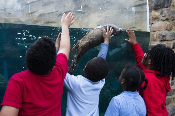 kids with otter at zoo