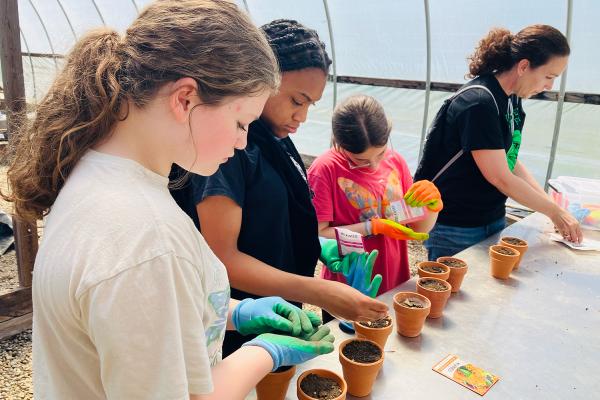 Community Garden 