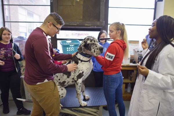 College & Career Academies of Akron; Photo by: Shane Wynn