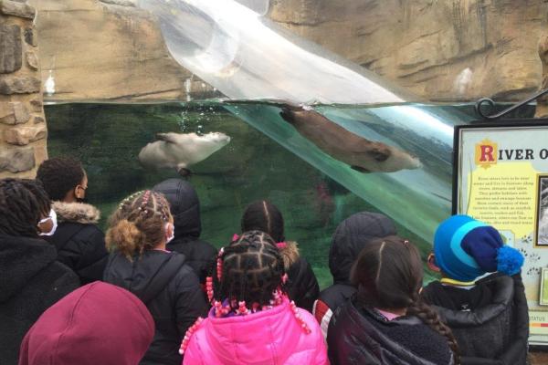 Essential Experiences students at the Akron Zoo