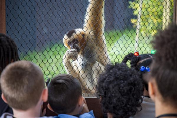 Akron Public School students at the Akron Zoo during their Essential Experiences visit
