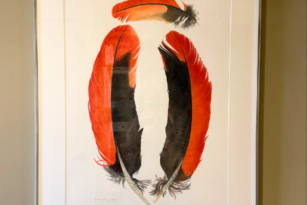 Sandra Benny - Portrait of the Vulture-Headed Parrot