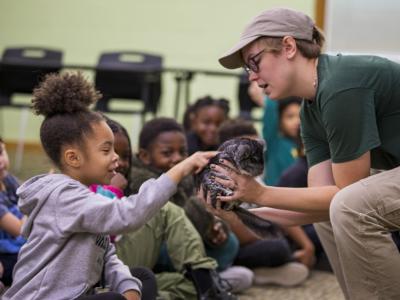 Akron Zoo