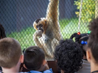 Akron Zoo