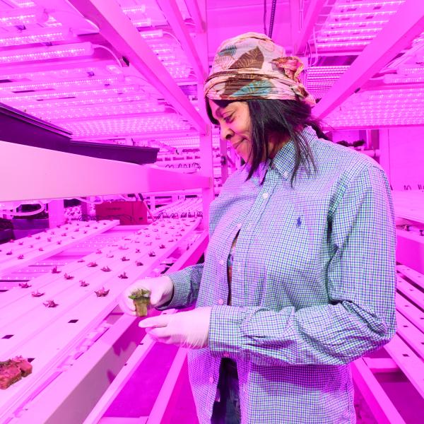 Bounce Innovation Hub, Photo by Bruce Ford