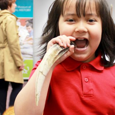 Child with fossil tooth