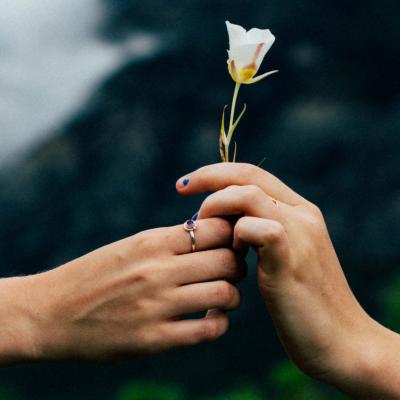 person handing person a flower
